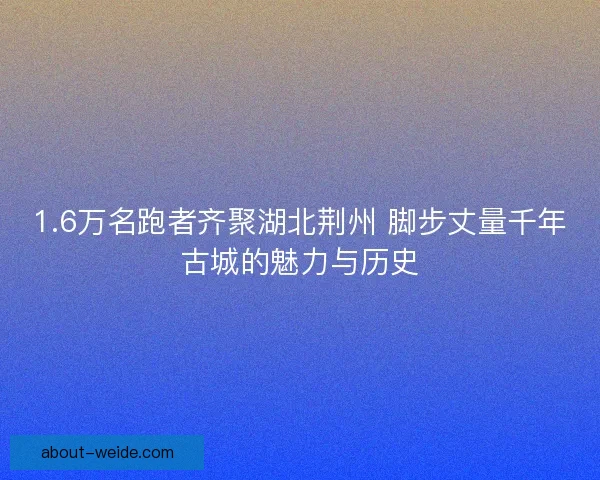 1.6万名跑者齐聚湖北荆州 脚步丈量千年古城的魅力与历史